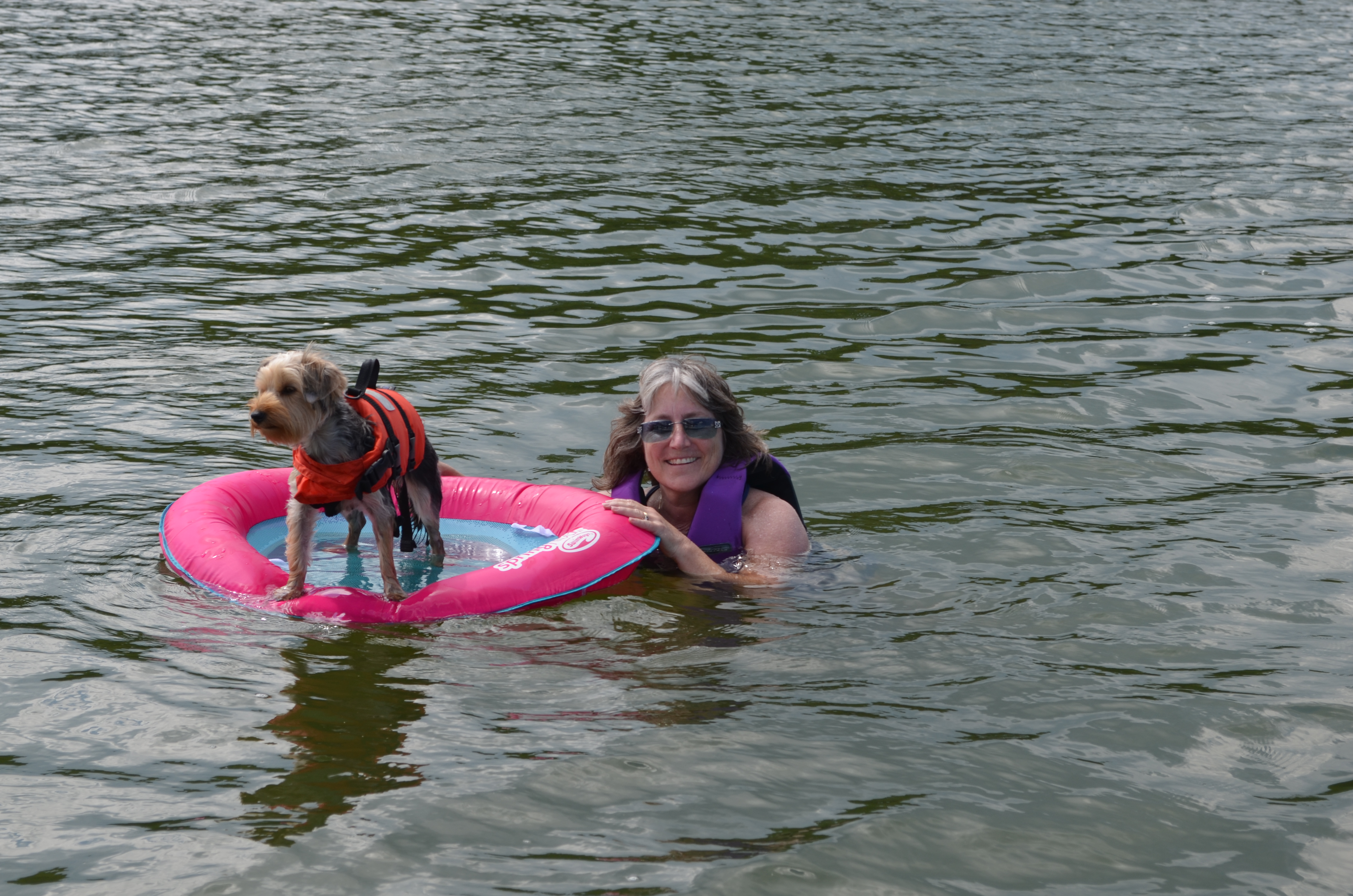 ./2016/15 - Kerr Lake 2/DSC_0360.JPG